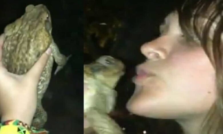 frog coming out of woman video,the frog video, twitter frog,frog video,twitter frog video,the frog video twitter video,the frog video twitter,frog video girl,frog video girl twitter video,frog video reddit,frog video twitter,viral frog video,girl and frog video,