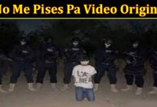 no me pises pa video original