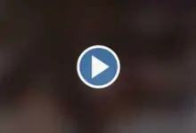 skirby dog video twitter
