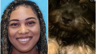 christina johnson missing
