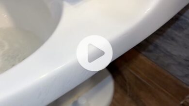 preciado duplex toilets video