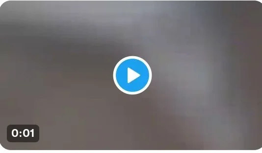 Swagatron Forever Leak Video