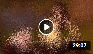 Twitter Viral Video Museum