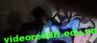 sigor boys trending video 2024