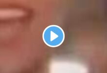 Megan Thee Stallion AI Video Takes Twitter