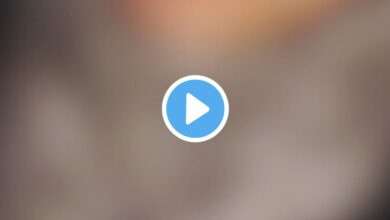 Wpcnt Viral Video 2024