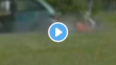 brian wells video