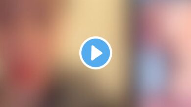 jazpincita video del perro