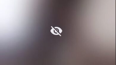 The Shaden Ferraro OnlyFans Leak and Its Aftermath - Video Reddit Trend