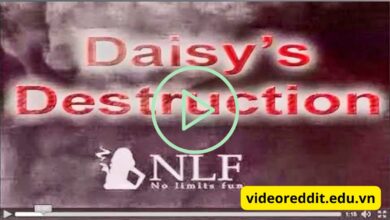 daisy's destroyer video original twitter
