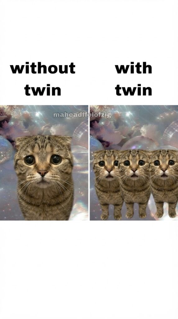 Magical Meow Meow