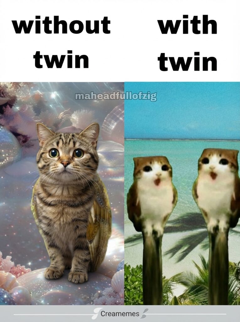 Magical Meow Meow