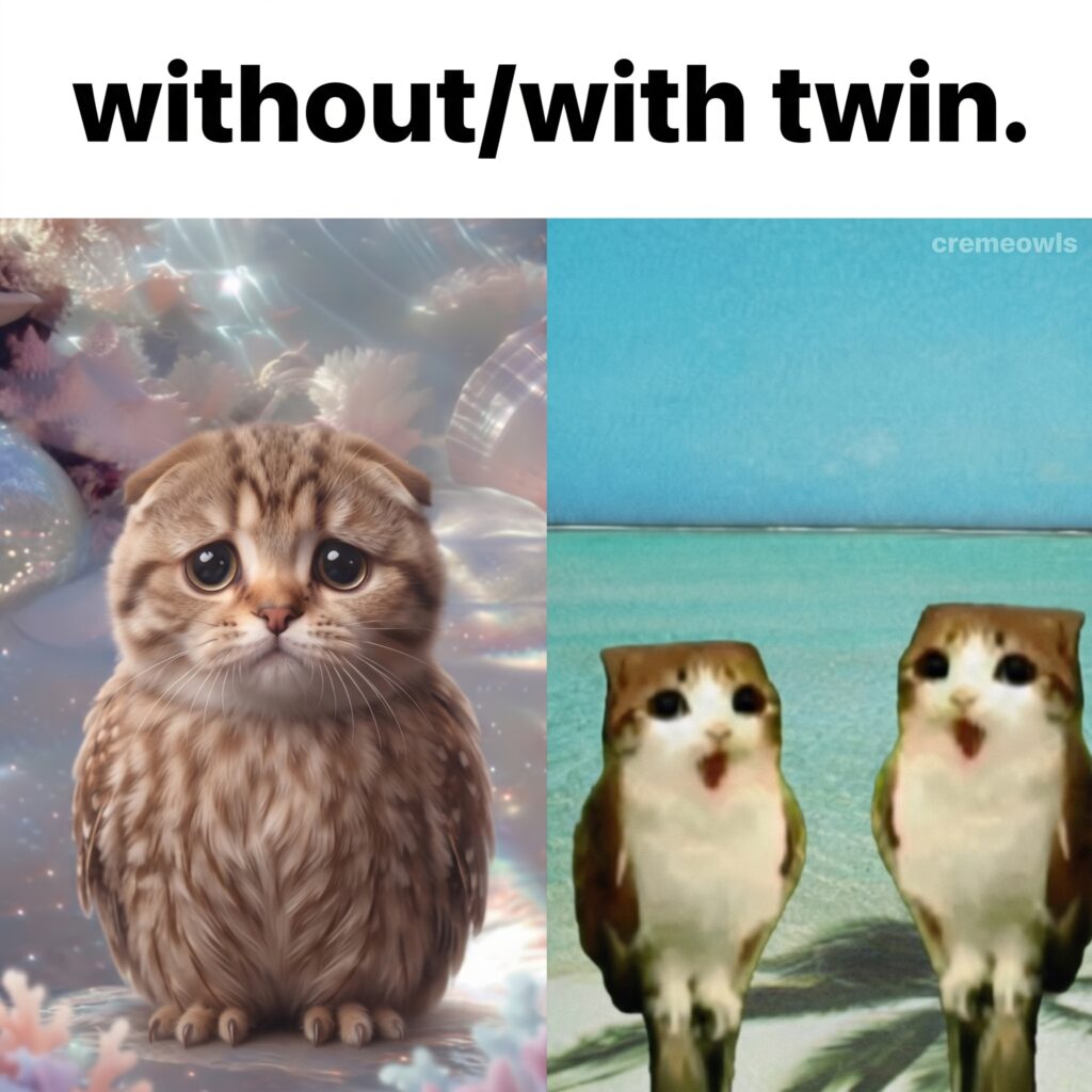 Magical Meow Meow