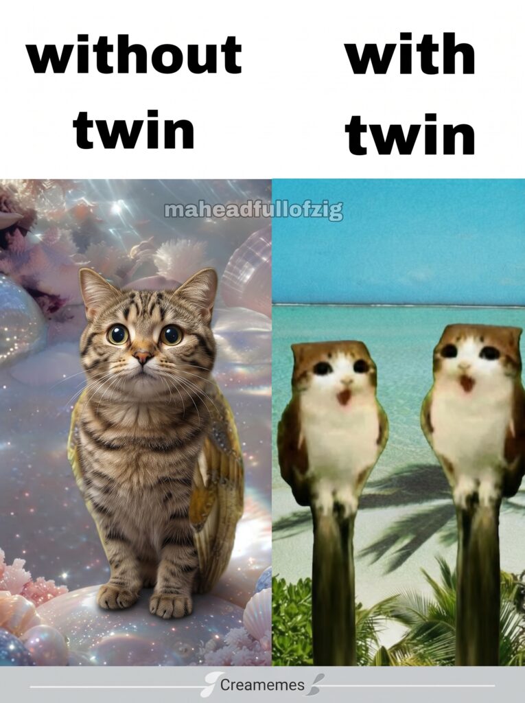 Magical Meow Meow